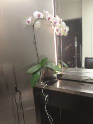 -J Eleven型人坊旗舰店