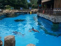 -珠海长隆海洋王国