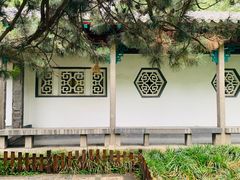 -趵突泉景区
