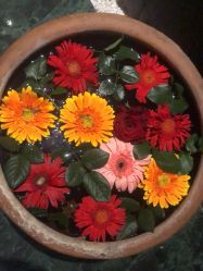 -琦品高端美容SPA私佳美场