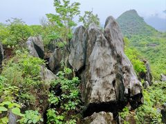 -玉石林风景区