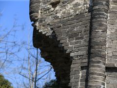 -上海佘山国家森林公园天马山园