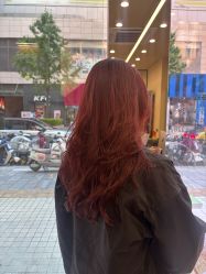 -东方麒麟·潘多拉SALON
