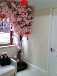 -万州华美紫馨整形美容医院