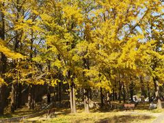 -阳台山自然风景区