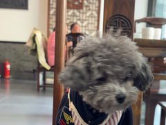 -鸿兴楼酒家嘉山路店