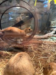 -Zoolung Zoolung动物主题公园(海信广场店)