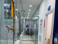 -芭比堂动物医院(广州爱宠下渡路分院)