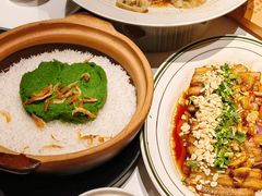 -新兴·金羊座·粤菜点心(乐峰店)