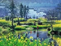 -婺源风景区