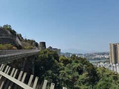 -福道