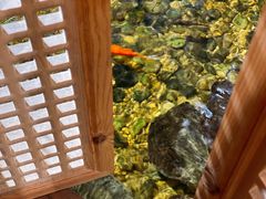 -邈墨茶馆(凤起路店)