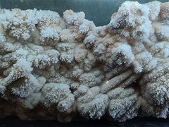 -湖南省地质博物馆