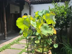 -院子餐厅·大锅菜·老杭帮(桥西直街店)