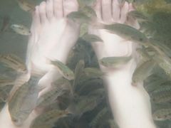 -龙达温泉生态城