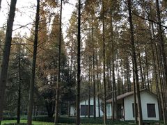 -上海怡沁园度假酒店