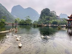-靖西鹅泉风景区