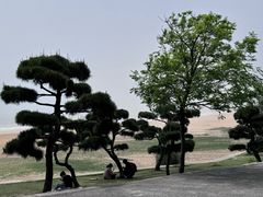 -普陀山风景名胜区-法雨禅寺