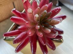 -醉得意(武大店)