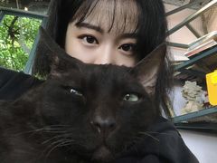 -喵屿·大理花园猫咖