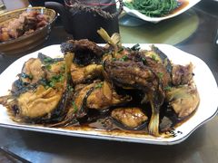 红烧鲃鱼-观桥阁(锦溪店)