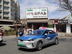 -哈海英麻辣烫(中华西路步行街店)