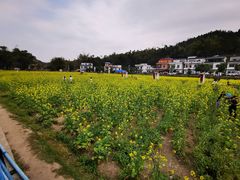 -红山村