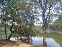 -南京市无想山景区