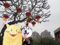 -肇庆古城墙