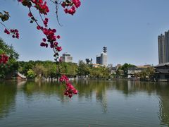 -东莞市可园博物馆