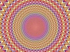 -新丰蛋糕(百花路总店)