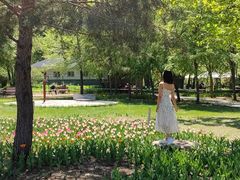 -长春公园(普阳街道)