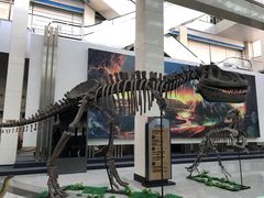 -吉林市博物馆