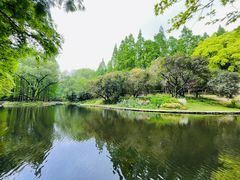 -上海共青森林公园