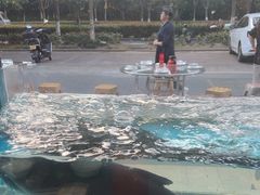 -浔味·山屿湖·正宗淳牌全鱼宴老字号