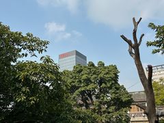 -龙潭水乡