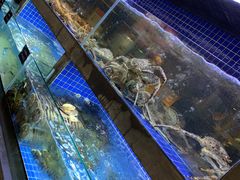 -徐记海鲜(观沙岭|滨江新城店)