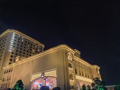 -上海白金汉爵大酒店(大零号湾国际会议中心店)