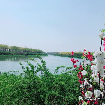 赏赏花。市区里的公园相对人多些