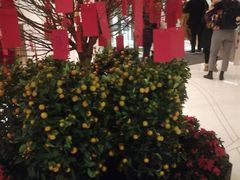 -上海静安香格里拉大酒店
