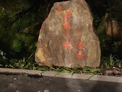 -三峡梯城