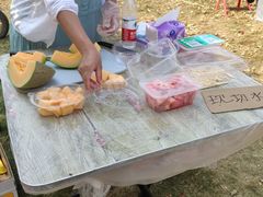 -武汉紫薇都市田园