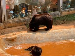 -昆明动物园