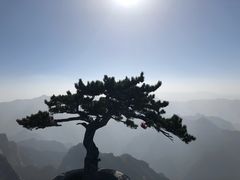 -华山风景名胜区