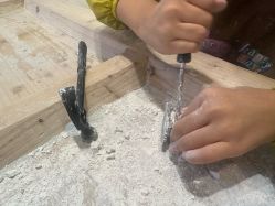 -卡通尼·Safari非洲探索乐园·生日会(金桥国际商业广场店)