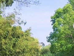 -同里国家湿地公园