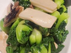 -芙蓉堂(武汉天地店)
