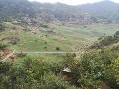 -篁嶺土菜馆·柴火饭 土鸡土菜