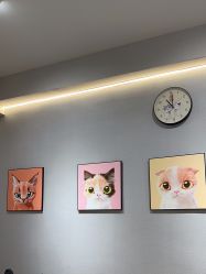 -洗脸猫·洗脸吧