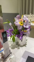 -明潪Selfology升维护理中心